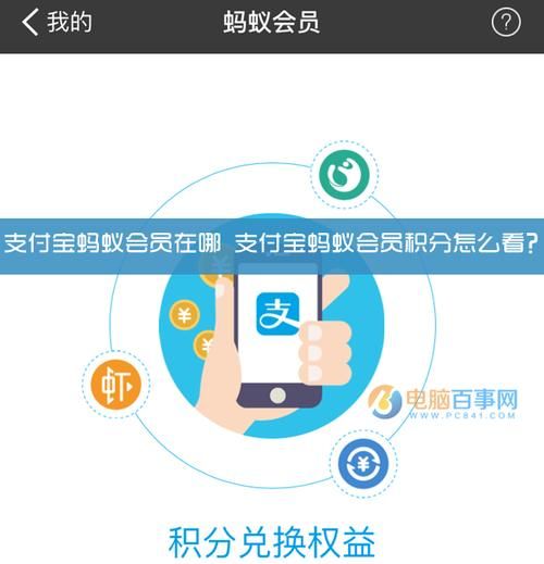 蚂蚁会员消费购物积分怎么算,个人积分怎么查询 积分查询图2