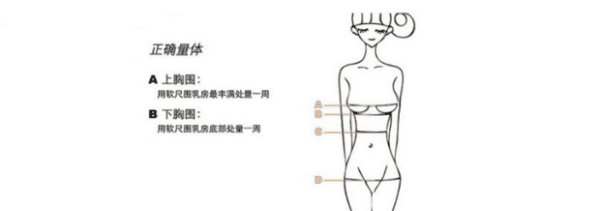 内衣最小码是多少码,最小码胸罩是多少图1