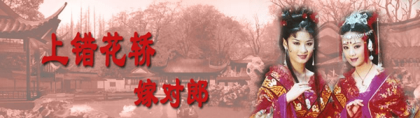 公子齐是什么电视剧,《上错花轿嫁对郎》的主题歌是什么图4