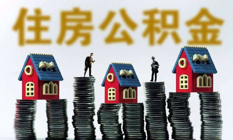 法定公积金的用途,公司提取的法定公积金用来做什么的账务处理图3