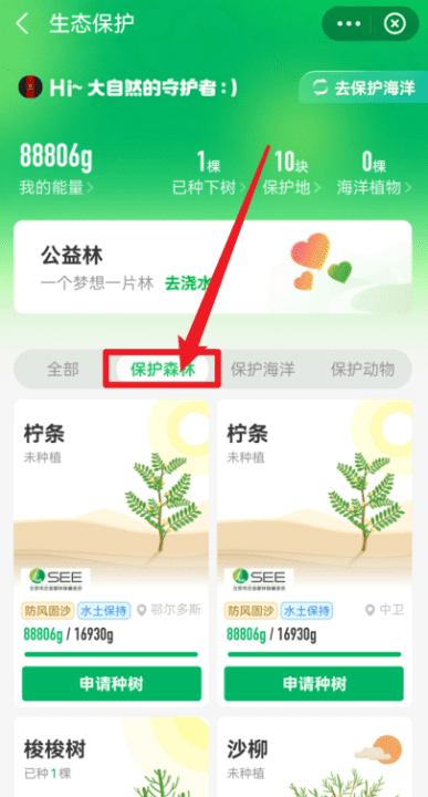 支付宝怎么种树,支付宝怎么种树的图7