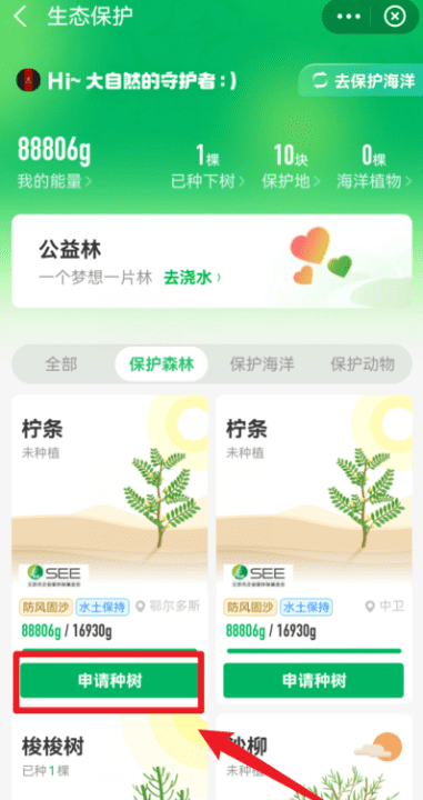 支付宝怎么种树,支付宝怎么种树的图8