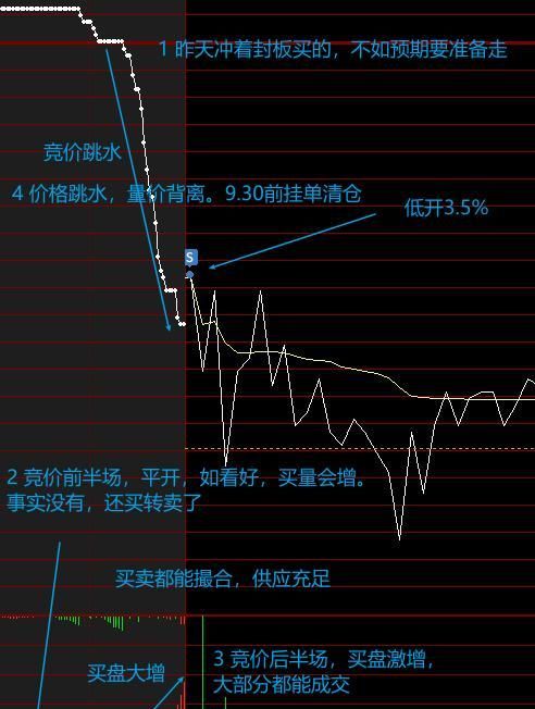 集合竞价规则详解,详细介绍集合竞价的规则与操作步骤图3