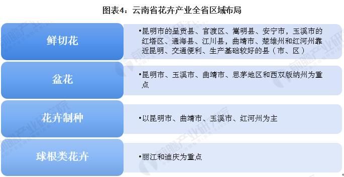 云南几类地区分类,云南地区划分滇中滇南滇西滇东是哪里图1