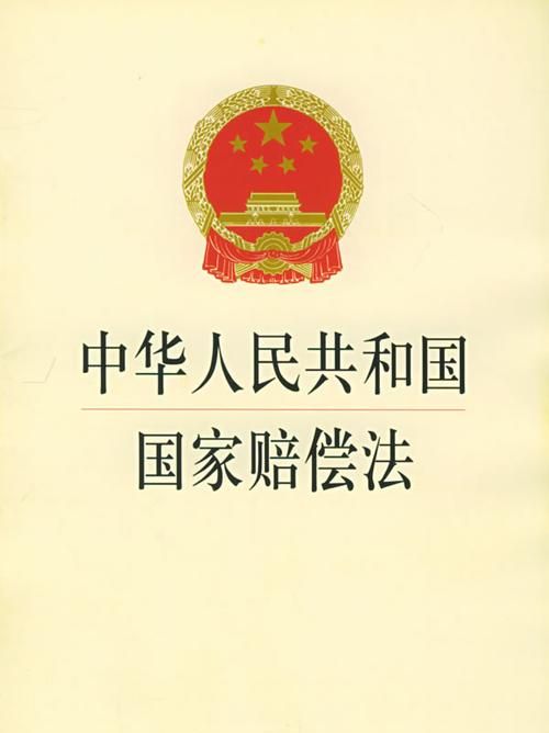 赔偿法里国家赔偿精神抚慰金,国家赔偿法精神损害赔偿第一案的意义图4