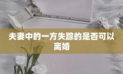 夫妻一方失踪时怎么提起离婚,夫妻一方失踪一方如何申请离婚手续图4