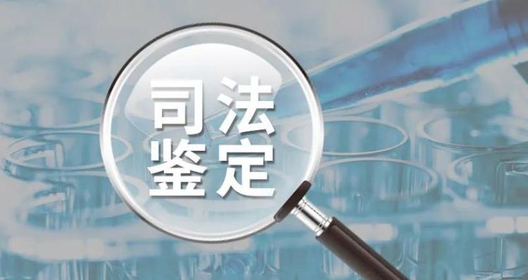 司法鉴定人需要年检,司法鉴定人管理办法最新图2