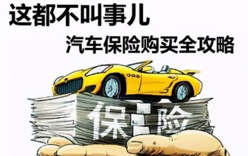 车辆保险哪家便宜,车险哪家保险公司好又便宜图4