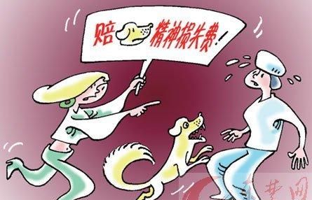 人受伤可以要精神损害赔偿金,轻微伤可以要精神损害赔偿图3