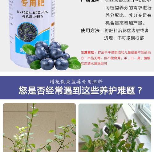 怎么给蓝莓用肥料,蓝莓怎么施肥管理