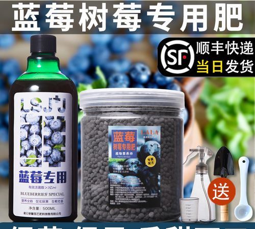 怎么给蓝莓用肥料,蓝莓怎么施肥管理图2