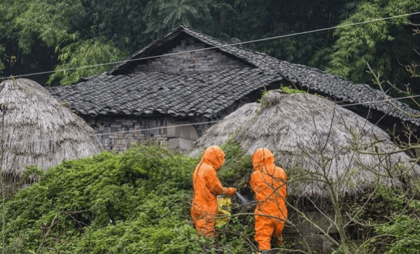 灭马蜂窝的简单办法,消灭马蜂窝最快办法是什么图3