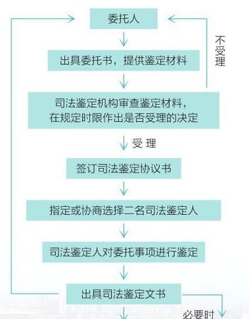 工作从事司法鉴定条件有什么,司法鉴定和劳动能力鉴定有什么区别图3