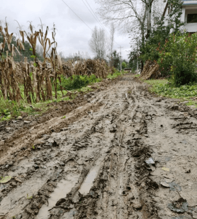 泥泞的道路是指什么意思,泥泞的道路是什么意思二年级图3