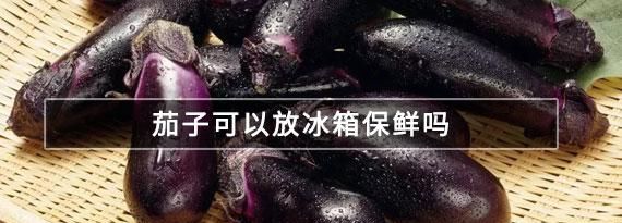 过夜的茄子放冰箱可以吃吗,茄子隔夜放冰箱能吃图1