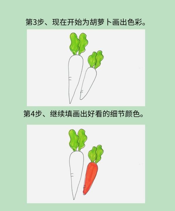 萝卜种类简笔画,简笔画萝卜的画法最简单图4