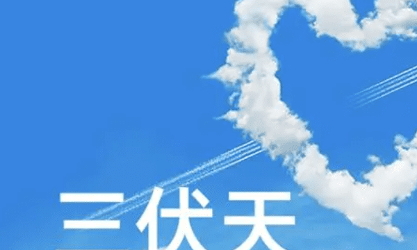 8月5号是几伏,二伏天是几月几号202三伏图4