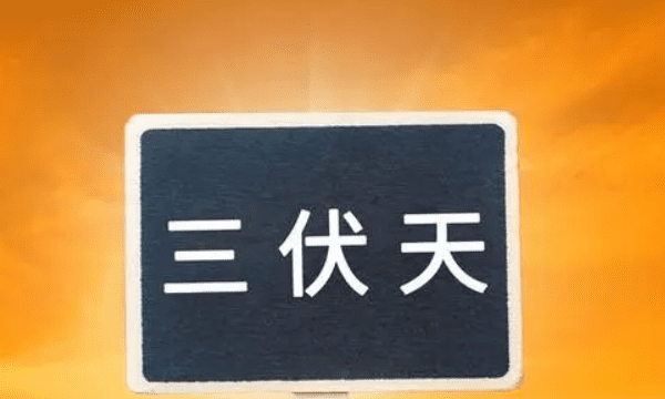 8月5号是几伏,二伏天是几月几号202三伏图6