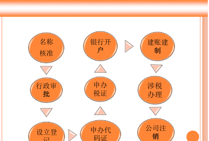 公司设立发起的流程包括哪些,企业设立的基本程序包含哪几个步骤图3