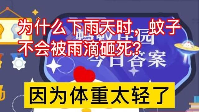 下雨天蚊子去哪里了,为什么下雨天没有蚊子和苍蝇图6