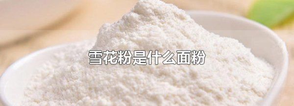 雪花粉是什么面粉,雪花粉是什么面粉 是中筋还是高筋图3