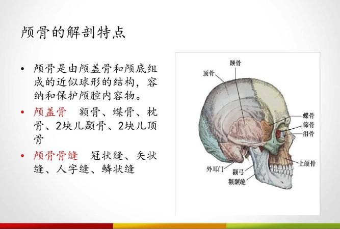 两人打架颅骨骨折算轻伤,你的颅骨骨折算轻伤还是算什么伤害图3