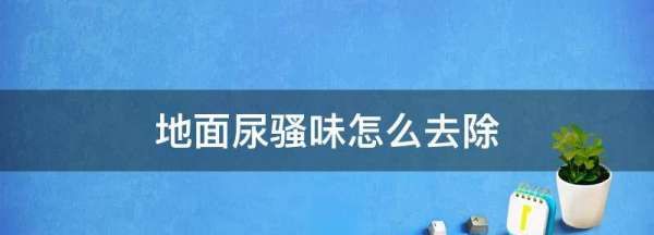 地面尿骚味怎么去除,地板尿骚味怎么去除孩子尿图5