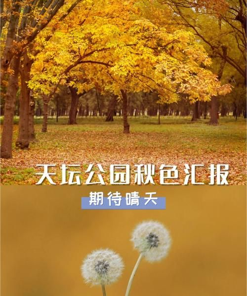 金秋是几月几日到几月几日,金秋时节的意思解释图1