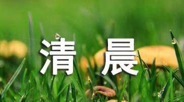 关于夏天清晨的句子,描写夏天早晨的句子图5