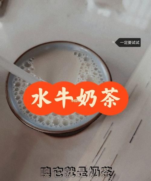 水牛奶为什么是甜的,百菲酪水牛纯牛奶和特仑苏哪个好