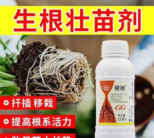 生根什么品牌比较好,生根液哪个牌子好用图2