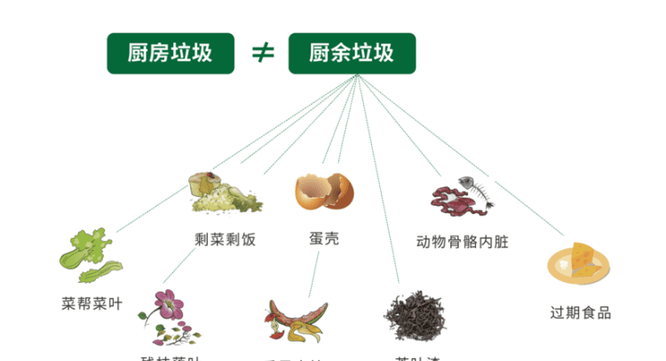 厨余垃圾怎么投放,垃圾分类垃圾桶投放标准图3