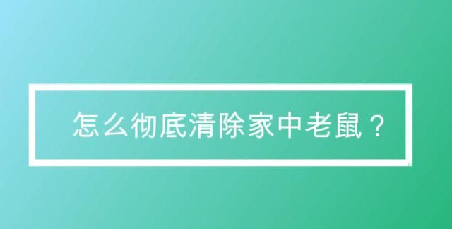 怎么快速清除家里老鼠,家里有老鼠怎么办能除根家是农村的图6