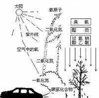 雾霾里面有什么成分,雾霾的组成成分是什么图1