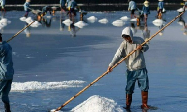 海水煮盐后怎么提纯,如何从海水中提取可食用的盐图13