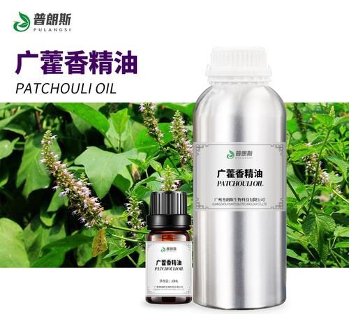 梅叶冬青是风油精吗,中药岗梅根_岗梅的中药属性和药理作用图4