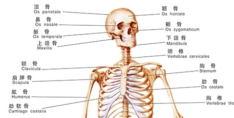 火化是怎么火化的,梦见火葬场火化炉是什么意思图2