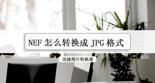 如何将nef转换成jpg,如何将nef转化为jpg图1