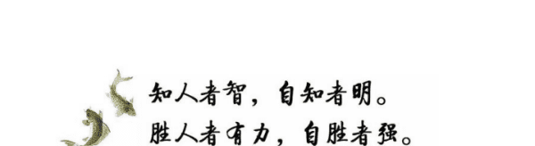 知人者智自知者明这句话什么意思,知人者智自知者明胜人者有力自胜者强什么意思图3