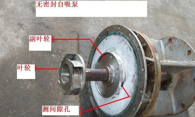 自吸泵漏水怎么维修,用什么胶水粘补自吸泵外面漏水最好图3