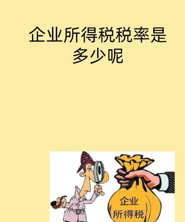 企业所得税率是多少,企业所得税率是多少图4