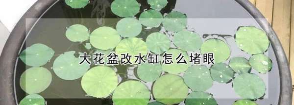 水缸怎么弄个洞,大花盆改水缸怎么堵眼 大花盆改水缸如何堵眼图1