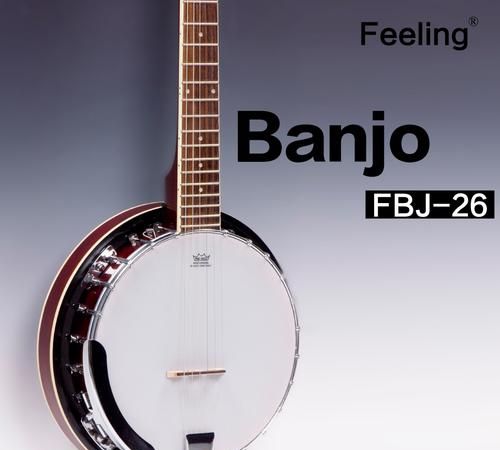 banjo是什么乐器,班迪第二章乐器图3