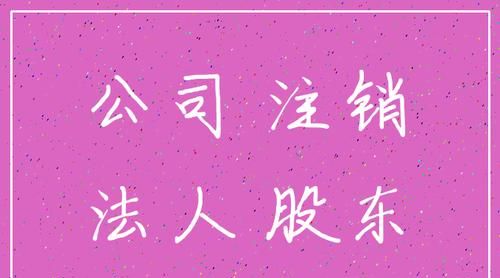 不想做公司法人应该怎么办,不想做公司法人怎么办了公司不给手续怎么办图4