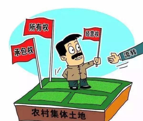 农业基本经营制度是什么,农业经营制度是什么意思图5