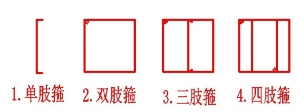 怎么看箍筋是几肢箍,钢筋的肢数怎么看图6