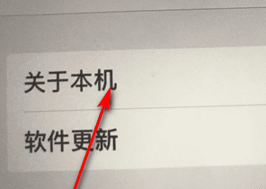 苹果平板ipad 如何查看版本,ipad怎么看第几代图9