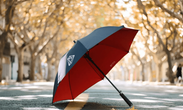 雨伞托运还是随身携带,乘坐飞机雨伞是托运还是随身携带图2