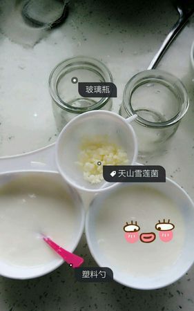 制作酸奶的是什么菌,制作泡菜和酸奶用乳酸菌还是酵母菌图3