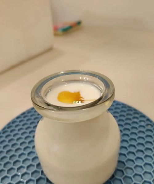 制作酸奶的是什么菌,制作泡菜和酸奶用乳酸菌还是酵母菌图4